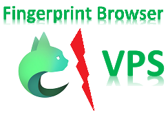VPS VS Fingerprint Browser für Anti-Association