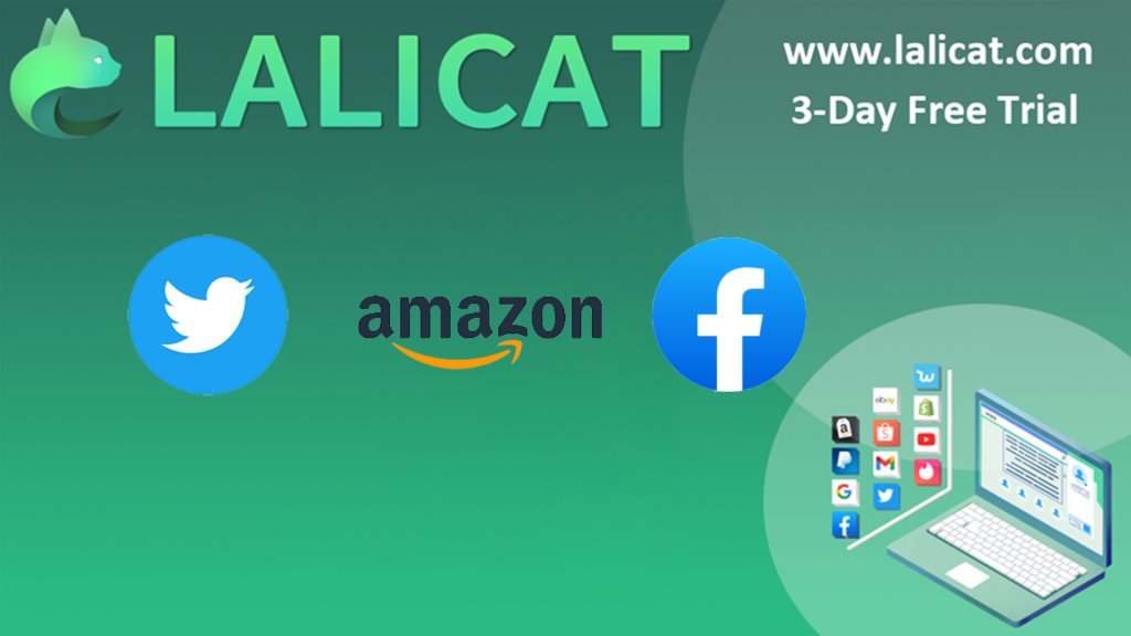 Antidetect browser for multiple accounts operation in business