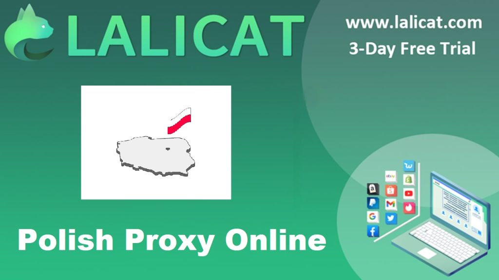 Polish Proxy Online and Lalicat Antidetect Browser: A Comprehensive Solution for Online Privacy and Security
